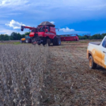 67,5% da Área Cultivada sob Impacto do Clima